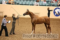 08yn-05962 proof