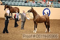 08yn-05965 proof