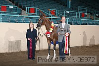 08yn-05972 proof