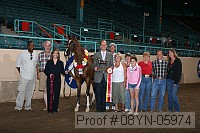 08yn-05974 proof