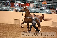 08yn-06155 proof