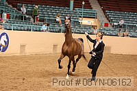 08yn-06162 proof