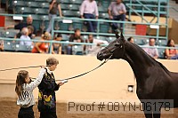 08yn-06178 proof