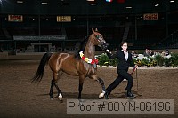 08yn-06196 proof