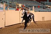 08yn-05902 proof