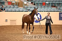 08yn-05904 proof