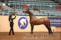 08yn-05907 proof