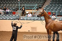 08yn-05917 proof