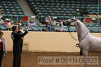 08yn-05923 proof