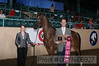 08yn-05927 proof