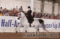 08yn-13832 proof