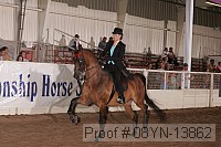 08yn-13862 proof