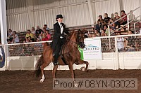 08yn-03023 proof