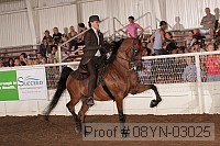 08yn-03025 proof