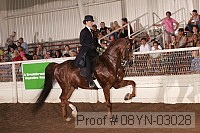 08yn-03028 proof