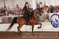 08yn-03029 proof