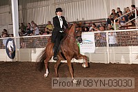 08yn-03030 proof