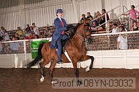 08yn-03032 proof