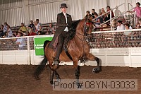 08yn-03033 proof