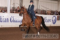 08yn-03040 proof