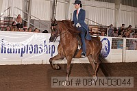 08yn-03044 proof