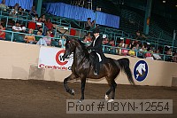 08yn-12554 proof