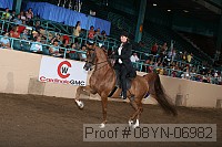 08yn-06982 proof