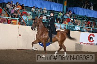08yn-06989 proof