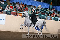 08yn-07002 proof