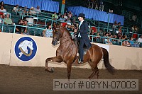 08yn-07003 proof