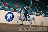 08yn-07007 proof