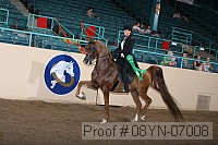08yn-07008 proof