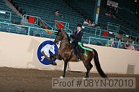 08yn-07010 proof