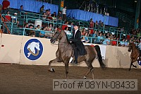 08yn-08433 proof