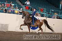 08yn-08448 proof