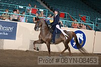 08yn-08453 proof