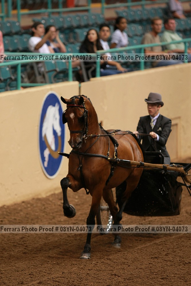 Proof 08yn-04073