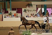 08yn-04083 proof