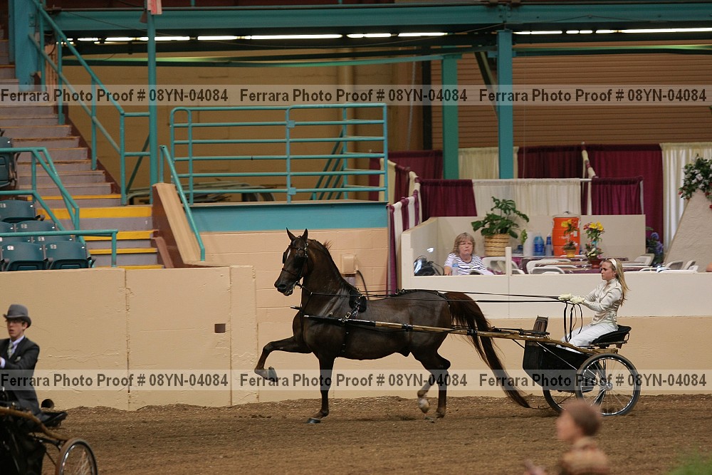 Proof 08yn-04084