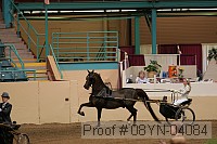 08yn-04084 proof