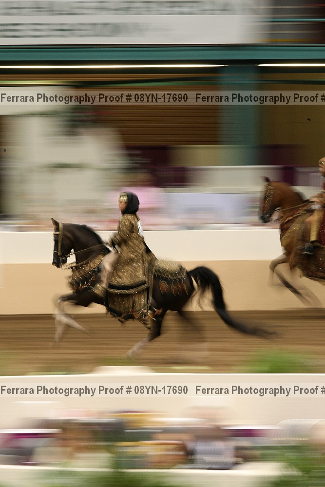 Proof 08yn-17690