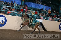 08yn-13482 proof