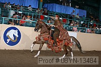 08yn-13484 proof