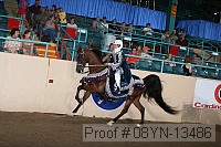08yn-13486 proof