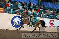 08yn-13488 proof