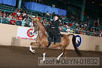 08yn-01832 proof