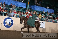 08yn-01833 proof