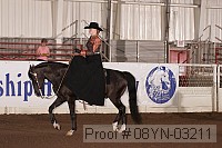 08yn-03211 proof