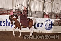 08yn-03212 proof
