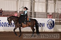 08yn-03213 proof